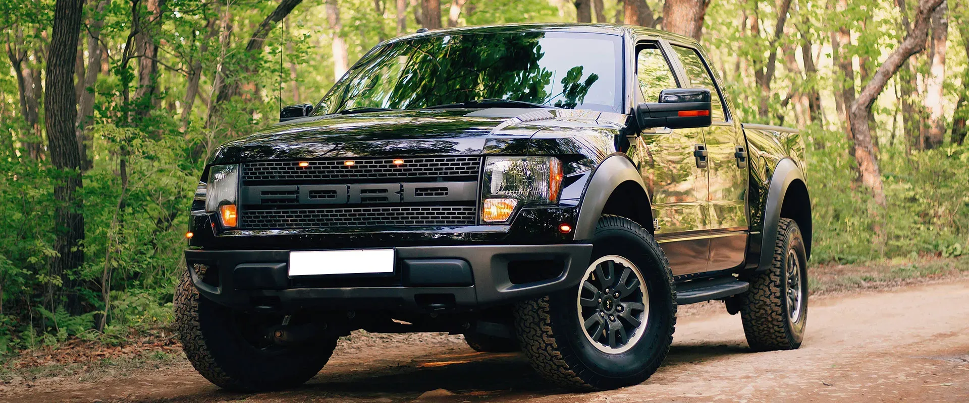 Power Stroke near Clackamas, OR